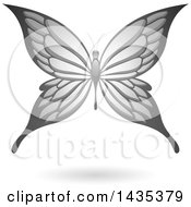Poster, Art Print Of Flying Gray Butterfly And Shadow