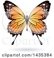 Poster, Art Print Of Pretty Orange Butterfly With A Shadow