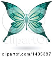 Poster, Art Print Of Flying Turquoise Butterfly And Shadow