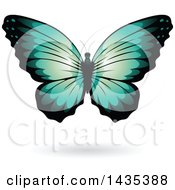 Poster, Art Print Of Turquoise Butterfly With A Shadow