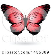 Poster, Art Print Of Red Butterfly With A Shadow
