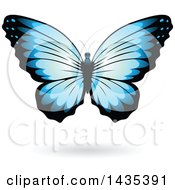 Poster, Art Print Of Blue Butterfly With A Shadow