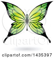 Clipart Of A Green Butterfly With A Shadow Royalty Free Vector Illustration