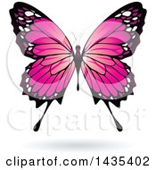 Clipart Of A Pink Butterfly With A Shadow Royalty Free Vector Illustration