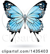 Clipart Of A Blue Butterfly With A Shadow Royalty Free Vector Illustration