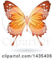 Clipart Of A Flying Orange Butterfly And Shadow Royalty Free Vector Illustration