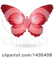 Poster, Art Print Of Flying Red Butterfly And Shadow