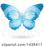 Clipart Of A Flying Blue Butterfly And Shadow Royalty Free Vector Illustration by cidepix