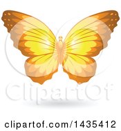 Poster, Art Print Of Flying Yellow Butterfly And Shadow