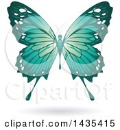 Poster, Art Print Of Flying Turquoise Butterfly And Shadow