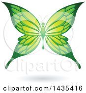 Poster, Art Print Of Flying Green Butterfly And Shadow