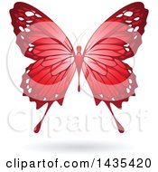 Poster, Art Print Of Flying Red Butterfly And Shadow