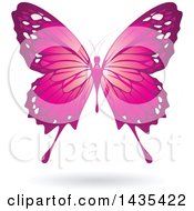 Clipart Of A Flying Pink Butterfly And Shadow Royalty Free Vector Illustration