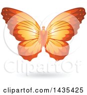 Clipart Of A Flying Orange Butterfly And Shadow Royalty Free Vector Illustration by cidepix