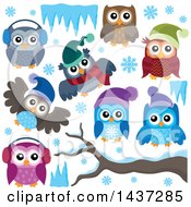 Clipart Of Winter Owls Royalty Free Vector Illustration