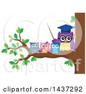 Professor Owl On A Branch With Students