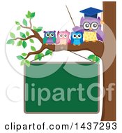Poster, Art Print Of Professor Owl On A Branch With Students Over A Chalk Board