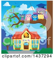 Poster, Art Print Of Professor Owl On A Branch With Students Over A School