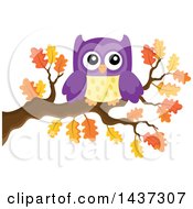 Poster, Art Print Of Purple Owl On An Autumn Oak Branch