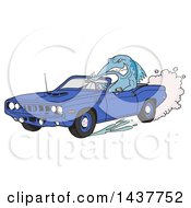 Clipart Of A Tough Fish Driving A Blue Hemi 1971 Plymouth Barracuda Convertible Muscle Car Royalty Free Vector Illustration by LaffToon