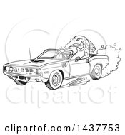 Black And White Lineart Tough Fish Driving A 1971 Hemi Plymouth Barracuda Convertible Muscle Car