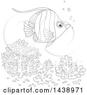 Poster, Art Print Of Black And White Lineart Angelfish Over Corals