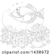 Poster, Art Print Of Black And White Lineart Humu Picasso Triggerfish Over Corals And Anemones