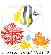 Black White And Yellow Angelfish Over Corals