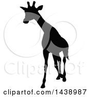 Poster, Art Print Of Black Silhouetted Giraffe Walking