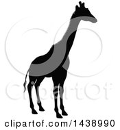 Clipart Of A Black Silhouetted Giraffe Royalty Free Vector Illustration by AtStockIllustration