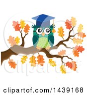 Poster, Art Print Of Professor Owl On An Autumn Tree Branch