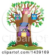 Poster, Art Print Of Professor Owl And Students In A Tree With Spring Leaves