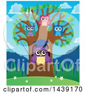 Poster, Art Print Of Professor Owl And Students In A Tree On A Spring Day