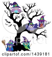 Group Of Witch Owls In A Bare Tree