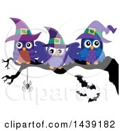 Group Of Witch Owls On A Tree Branch