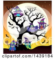 Group Of Witch Owls In A Bare Tree Against A Full Moon