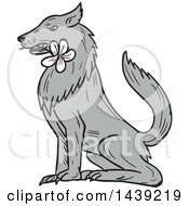 Poster, Art Print Of Sketched Timber Wolf Sitting With A White Plumeria Flower In His Mouth
