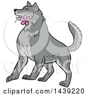 Poster, Art Print Of Sketched Timber Wolf With A Pink Plumeria Flower In His Mouth