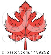 Poster, Art Print Of Red Maple Leaf
