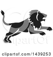 Poster, Art Print Of Black Silhouetted Leaping Male Lion