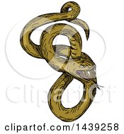 Clipart Of A Sketched Viper Snake Royalty Free Vector Illustration
