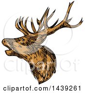 Poster, Art Print Of Sketched Red Deer Stag Buck