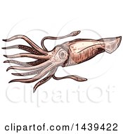 Clipart Of A Sketched And Colored Squid Royalty Free Vector Illustration