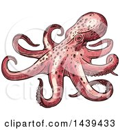 Poster, Art Print Of Sketched Octopus