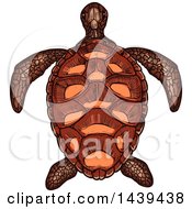 Clipart Of A Sketched And Colored Sea Turtle Royalty Free Vector Illustration by Vector Tradition SM
