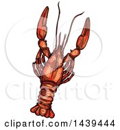 Clipart Of A Sketched Lobster Royalty Free Vector Illustration by Vector Tradition SM