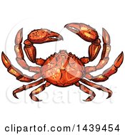 Poster, Art Print Of Sketched And Colored Crab
