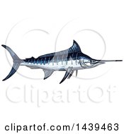 Poster, Art Print Of Sketched And Colored Marlin Fish