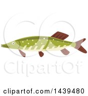 Poster, Art Print Of Pike Fish