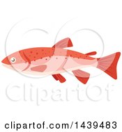 Clipart Of A Salmon Royalty Free Vector Illustration